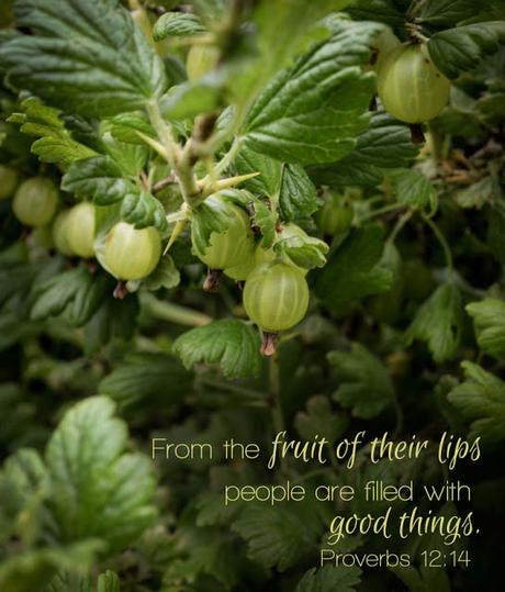 Fruit of the Lips