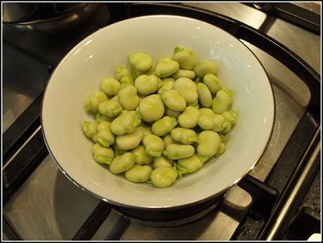 Broad Bean harvest