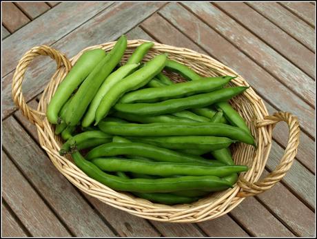Harvest Monday
