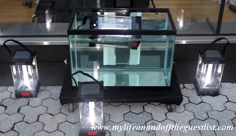 Great American Camping: Zippo Welcomes New Outdoors Line