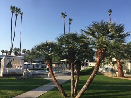 Palm Springs and Finding New 4th of July Traditions