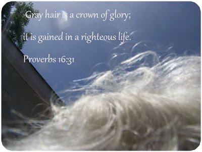 Scripture photos: a bunch for you