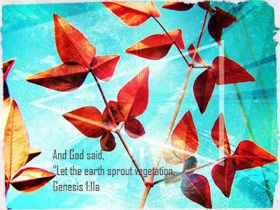 Scripture photos: a bunch for you