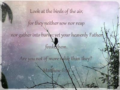 Scripture photos: a bunch for you