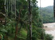 Real Adventure Pacuare River Costa Rica