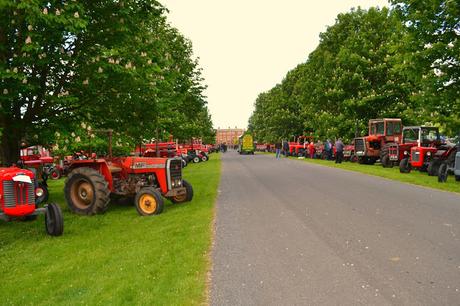 row of tractors at Tractor Fest Newby Hall 