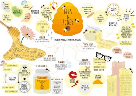 Honey - The Sticky Truth for a Balanced Healthy Diet