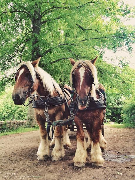 Snapshots from Open Air Museum, Lyngby 1 [Wordless Wednesday]