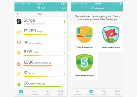 Fitbit Activity and Calorie Tracker