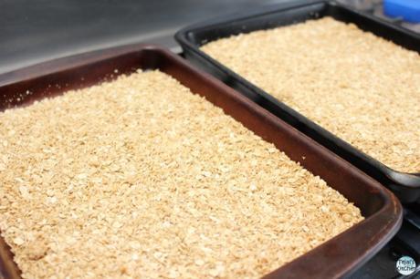 Chocolate Nut Granola Bars