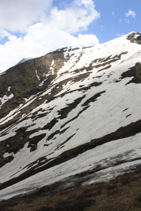 Taken June 10, 2015 in Great Himalayan National Park (GHNP).