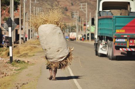 We often see people carrying large bags of different things, in this case hay, on their shoulders.