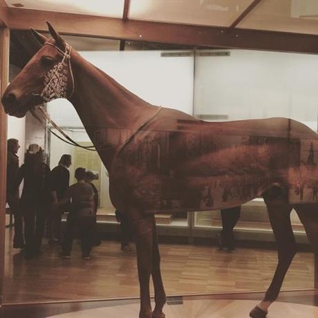 Phar Lap at The Melbourne Museum. I did not realize that he was so tall! 