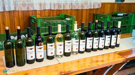 Display of wines in Kamil Kukumberg basement