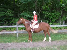it's a camp thing - horse riding