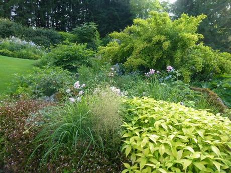 various shades of green planting