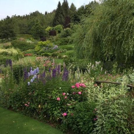 mixed border planting