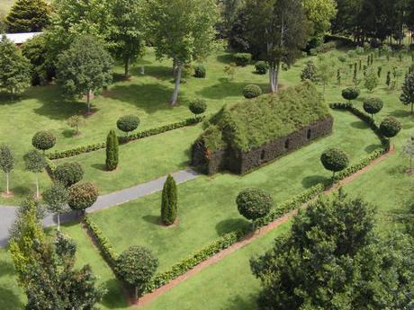 tree church