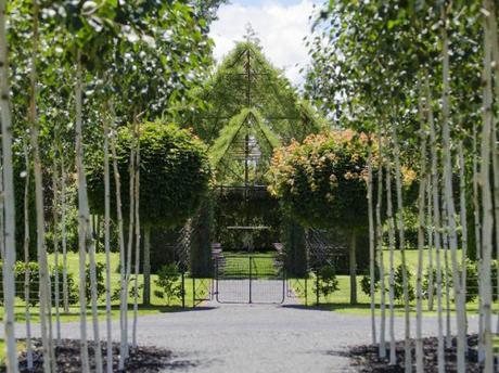 tree church3