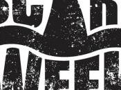 Construct Knit Triangular Shawl