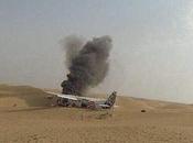 Skydivers Pilot Survive Emergency Landing Skydive Dubai