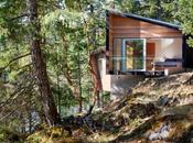 Jaw-Dropping Modern Cabin Nestled Into Steep Hillside British Columbia