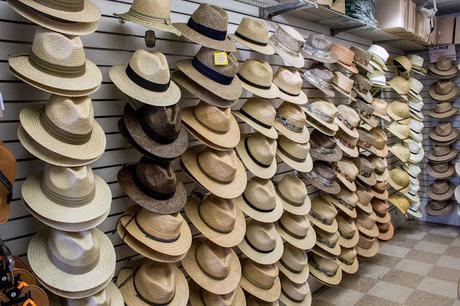 Savannah  3    [Orange You Glad It’s Friday]