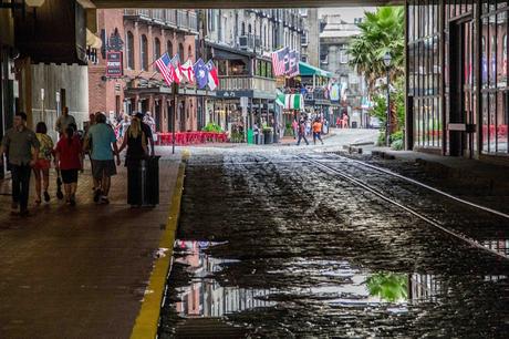 Savannah  3    [Orange You Glad It’s Friday]