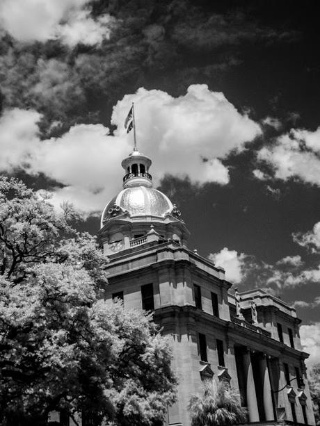 World of InfraRed 6 -- Savannah (ii)   [Sky Watch Friday]