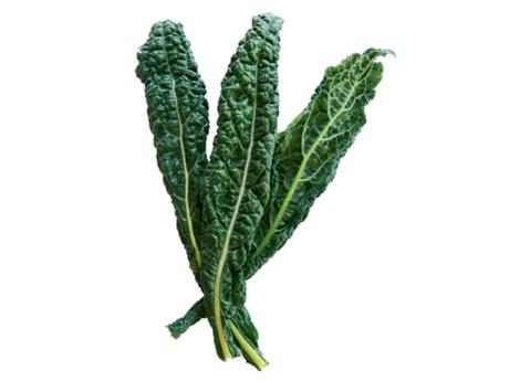 07-kale-600x450-COMP-3306171