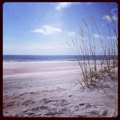 The 5 Most Unique Places I’ve Ever Read A Book amelia