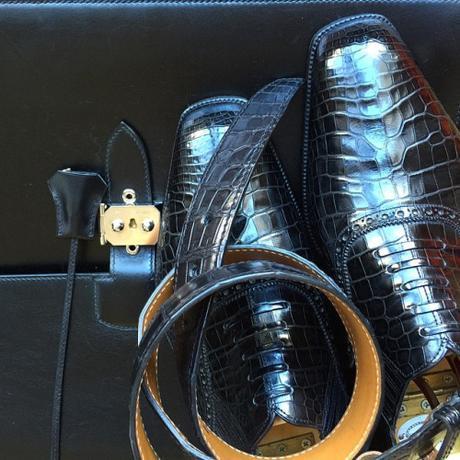 Cobbler’s Web Reappears image