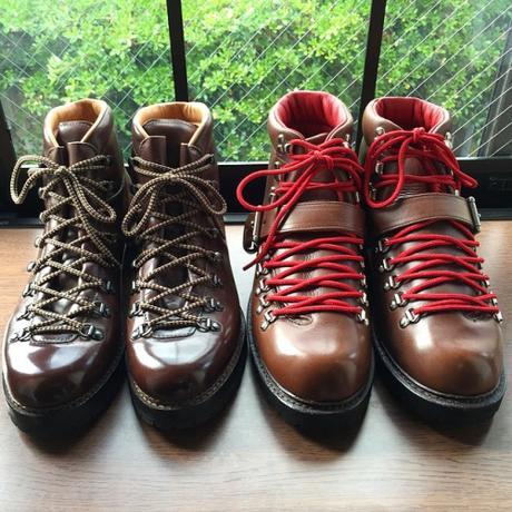 Cobbler’s Web Reappears image