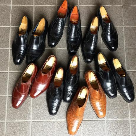 Cobbler’s Web Reappears image