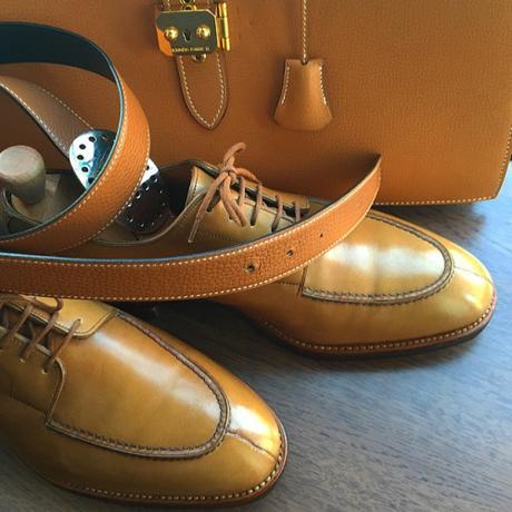 Cobbler’s Web Reappears image