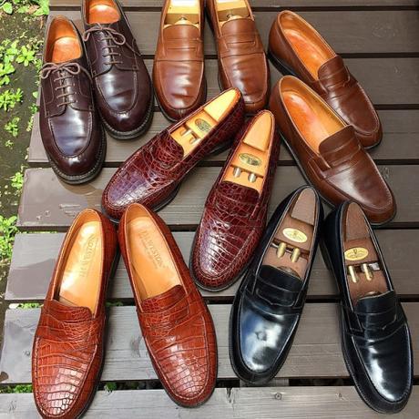 Cobbler’s Web Reappears image