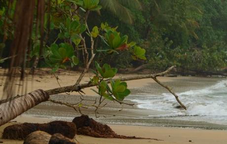 What to Expect From Family Hotels in Puerto Viejo Costa Rica