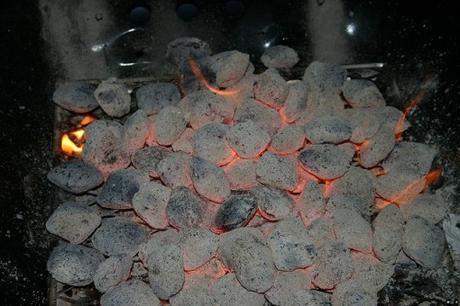 perfectly-ashed-coals.