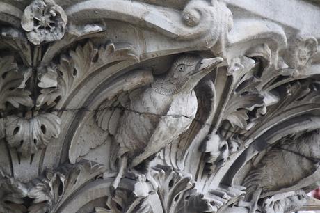 In & Around London: #London Birds