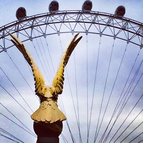 In & Around London: #London Birds