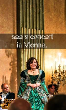 concert in vienna 2