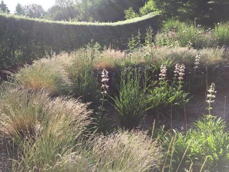 grasses in the Prickly Garden