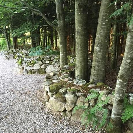 Andy Goldsworthy style curving stone wall