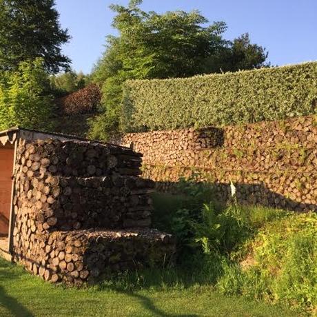 Logs being used to form terraces