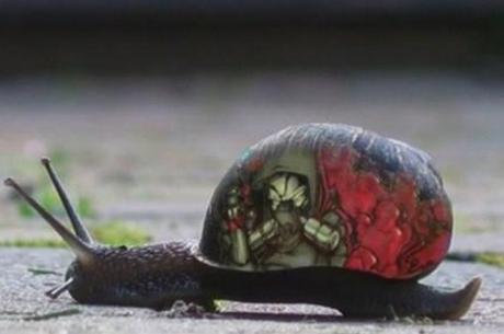 Top 10 Slow Moving, Creative Graffiti snails