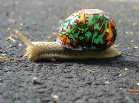 Top 10 Slow Moving, Creative Graffiti snails