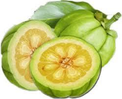 Burn Fat and Boost Metabolism with Garcinia Cambogia
