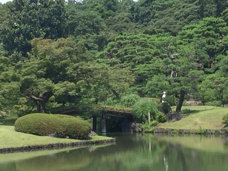 Visit Rikugien gardens, Tokyo