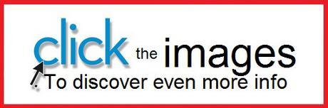 Top 10 Images of Pets in Backpacks