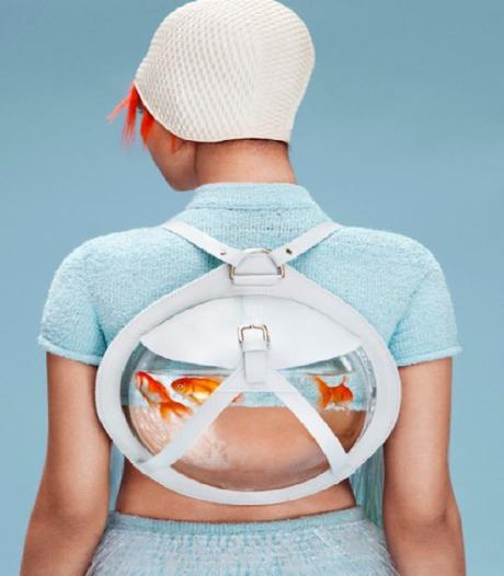 Top 10 Images of Pets in Backpacks